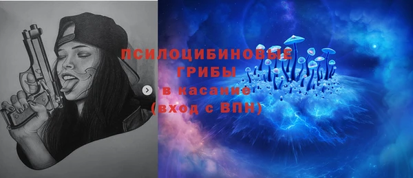 хмурый Михайловск