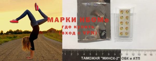 хмурый Михайловск