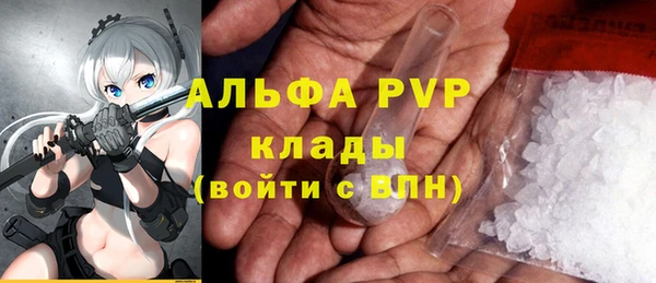 хмурый Михайловск