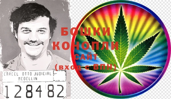 хмурый Михайловск