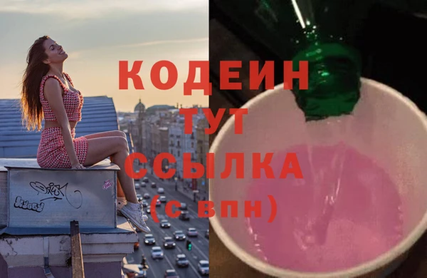 хмурый Михайловск
